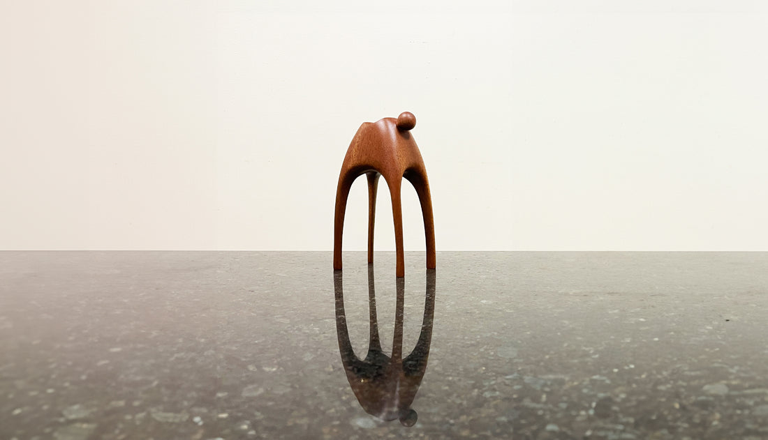 Carrier Mahogany Pet