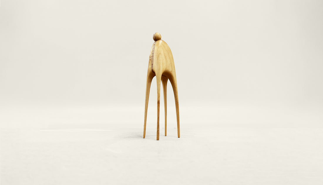 Large Celebration Pet