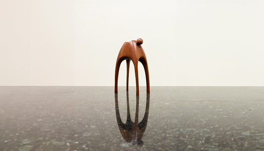 Carrier Mahogany Pet